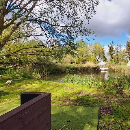 Rum Bridge Fisheries "The Cabin" Hotel Clare Eksteriør billede