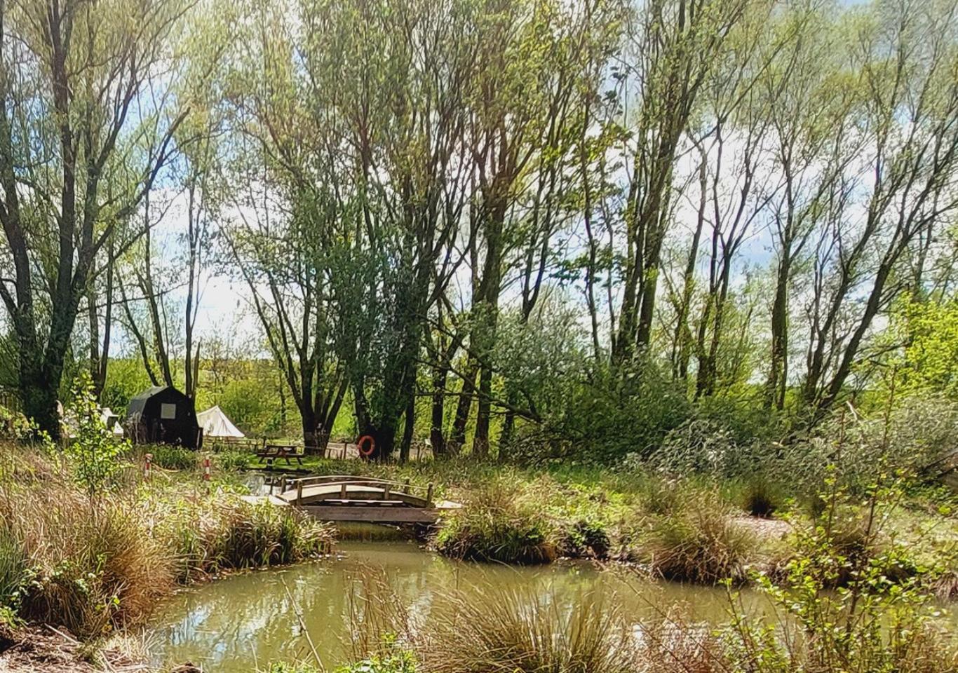 Rum Bridge Fisheries "The Cabin" Hotel Clare Eksteriør billede
